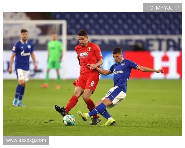 沙尔克本赛季数据分析:状态回暖,竞争力逐步增强 沙尔克本赛季数据分析:状态回暖,竞争力逐步增强