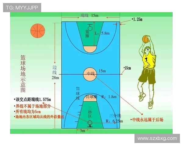 篮球规则深度解析：圆柱体原则的定义与适用范围